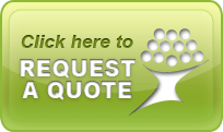 Website Design Quote