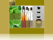 Website Design Sample 2
