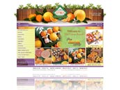 Website Design Sample 11