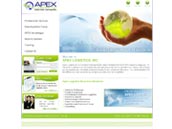 Website Design Sample 25